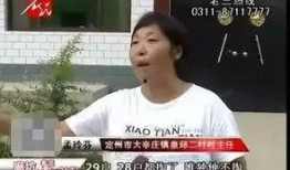 村霸事件爆料视频大全,揭秘农村黑恶势力真相